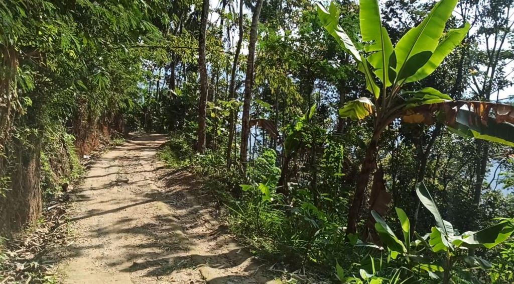 Pacitan Tanggap Darurat Kekeringan, 5 Desa Ajukan Dropping Air&nbsp;Bersih