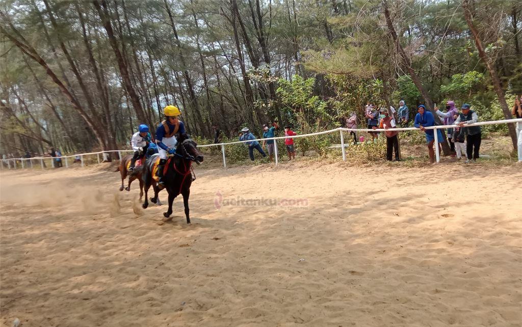 Kapolres Cup Sukses Digelar, Pordasi Harapkan Pacuan Kuda di Pacitan Bisa Digelar 2-3 Kali Setahun